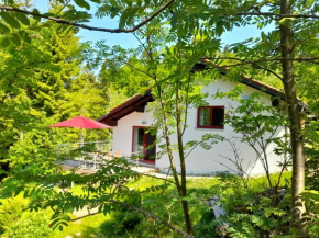 Berghütte Waldhäuser